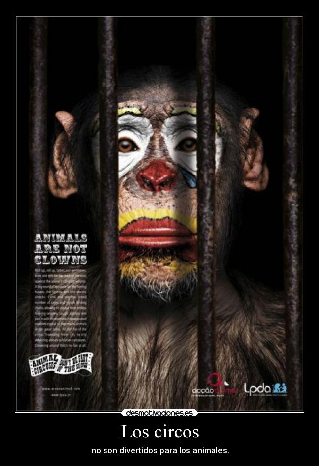 Los circos -