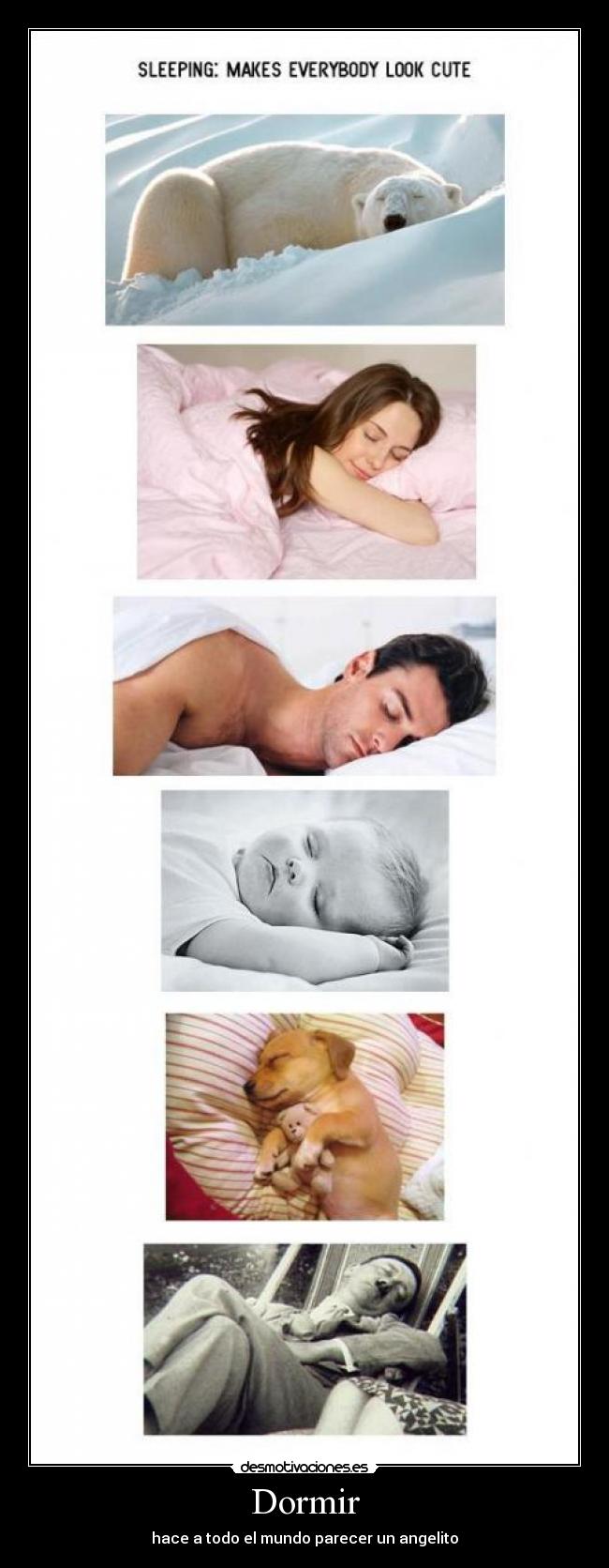 Dormir - hace a todo el mundo parecer un angelito