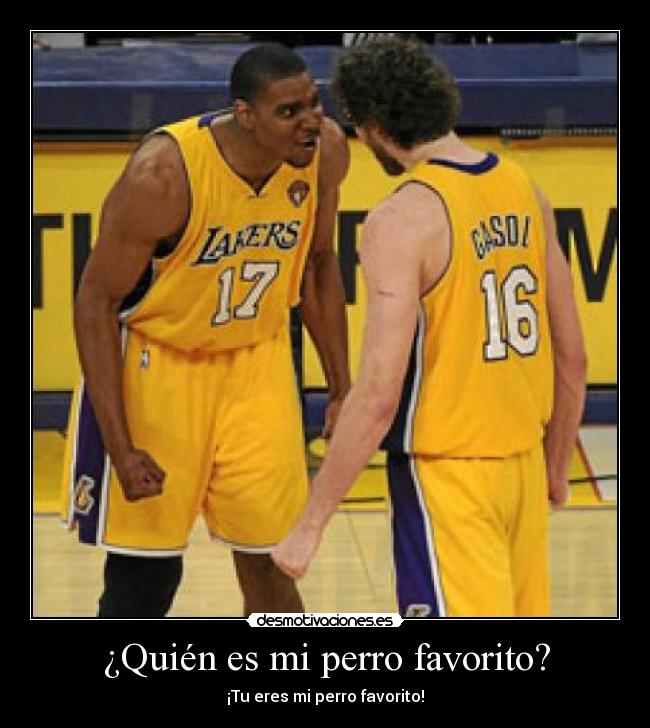 ¿Quién es mi perro favorito? -