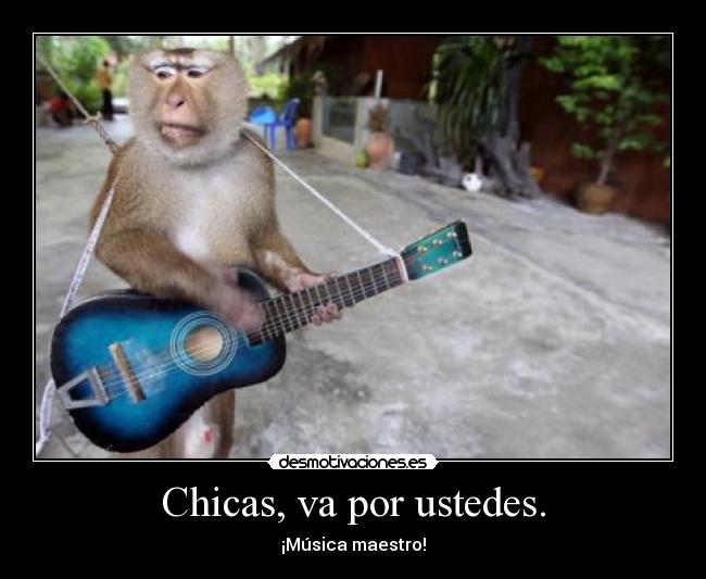 carteles pnp guitarra chicas desmotivaciones