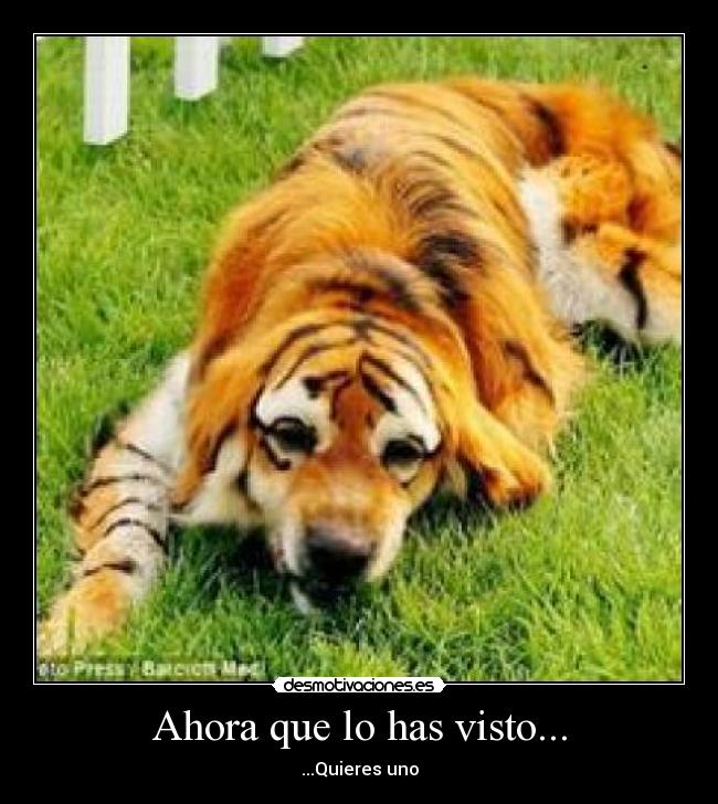 carteles puta putaa desmotivaciones