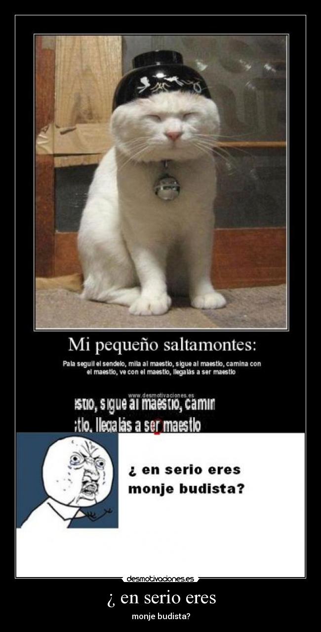 carteles gato monje desmotivaciones