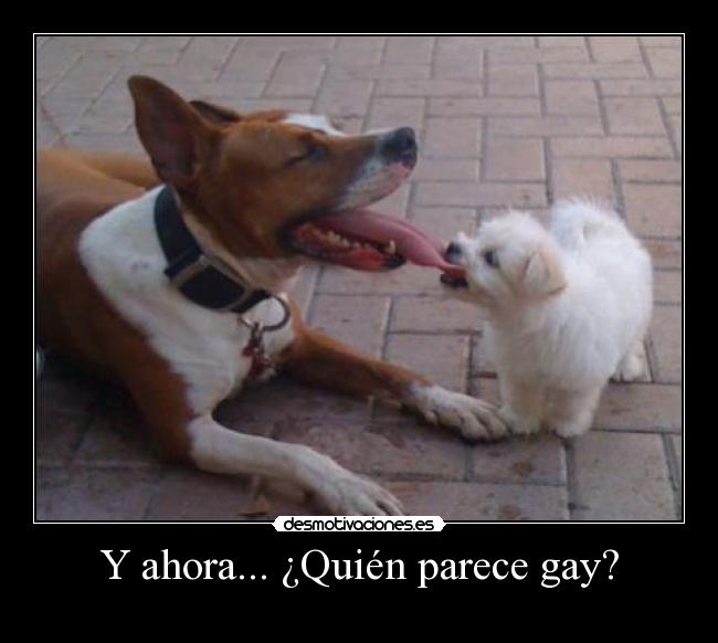 Y ahora... ¿Quién parece gay? -