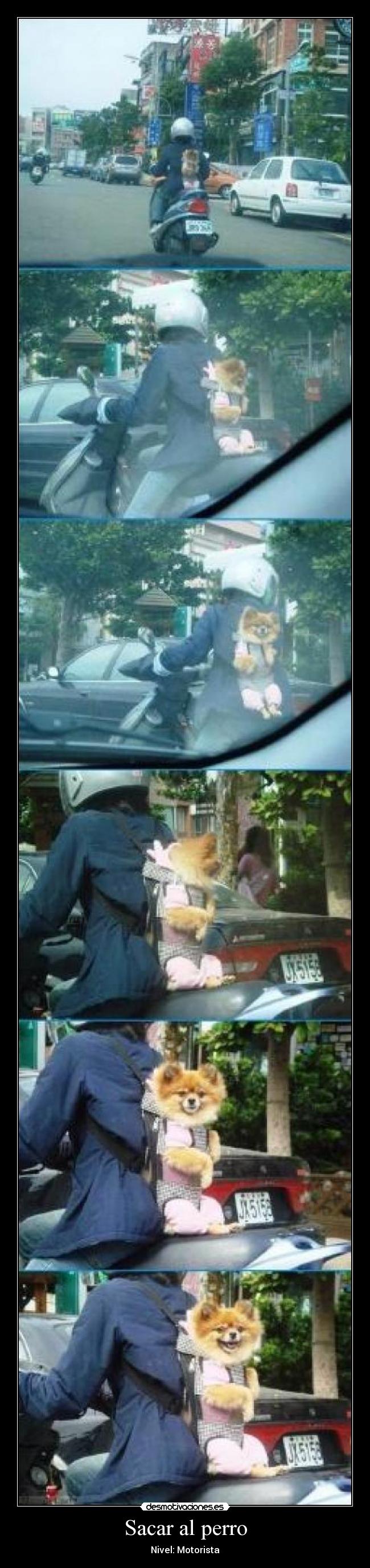 Sacar al perro - Nivel: Motorista