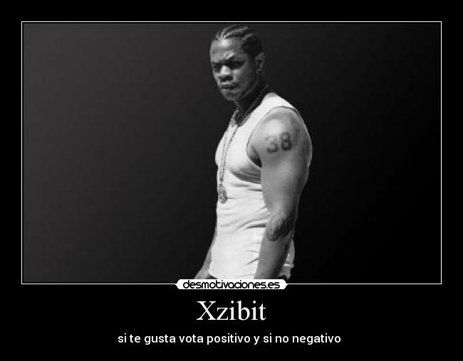 Xzibit - si te gusta vota positivo y si no negativo