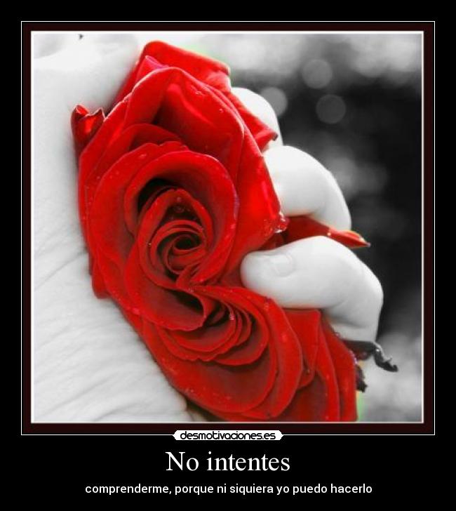 No intentes - 