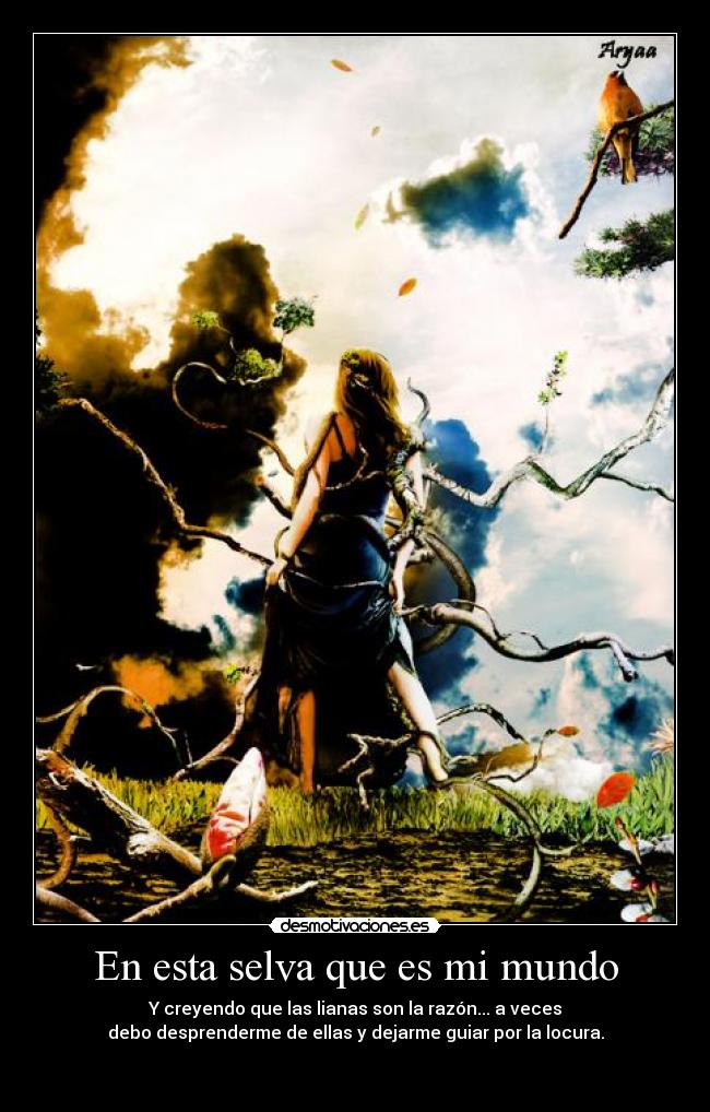 En esta selva que es mi mundo - Y creyendo que las lianas son la razón... a veces
debo desprenderme de ellas y dejarme guiar por la locura.