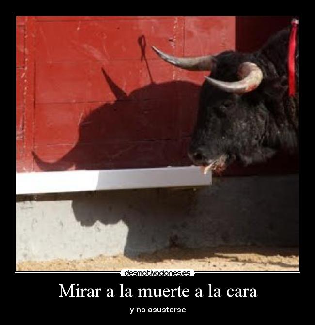 Mirar a la muerte a la cara - y no asustarse