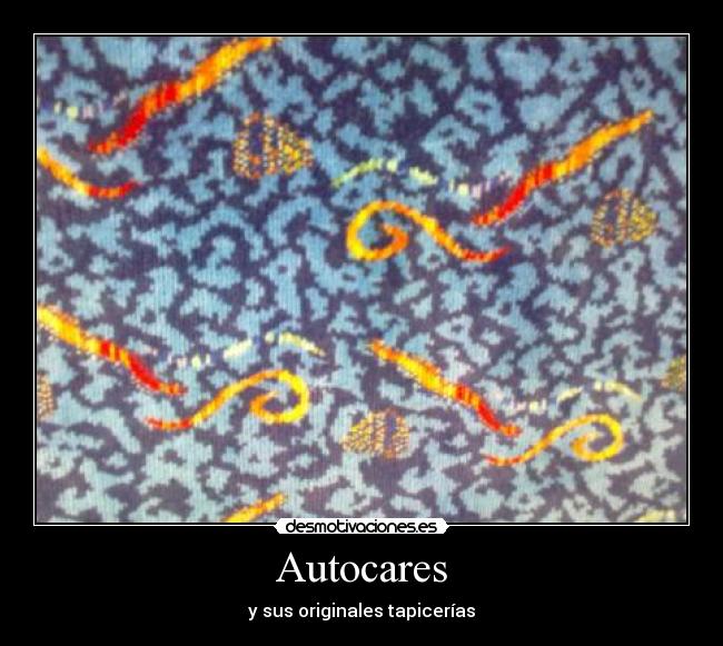 Autocares - 