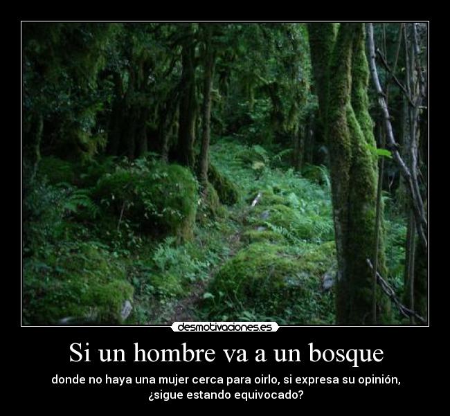 carteles bosque hombre razon opinion desmotivaciones