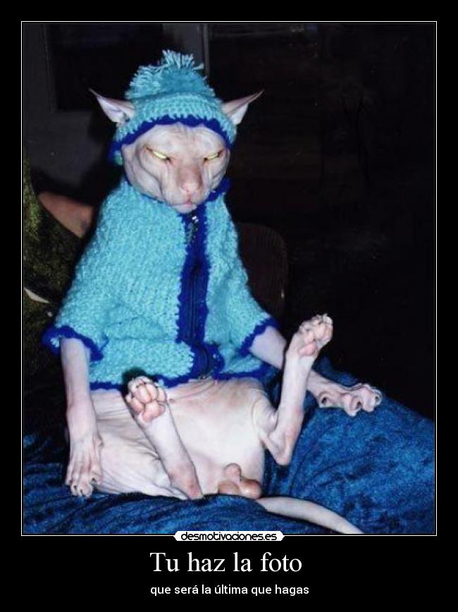 Tu haz la foto -