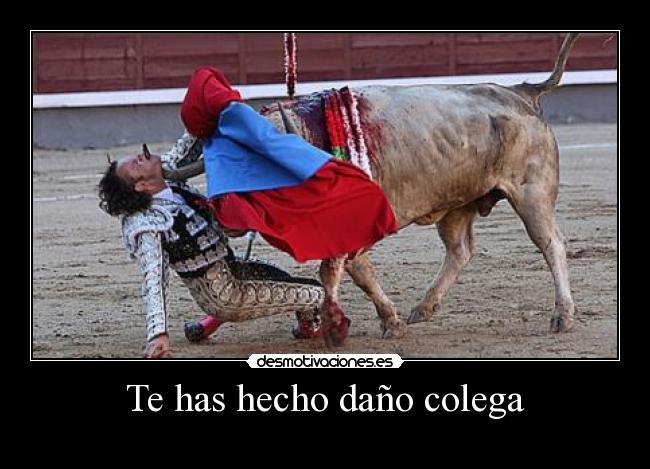 Te has hecho daño colega - 