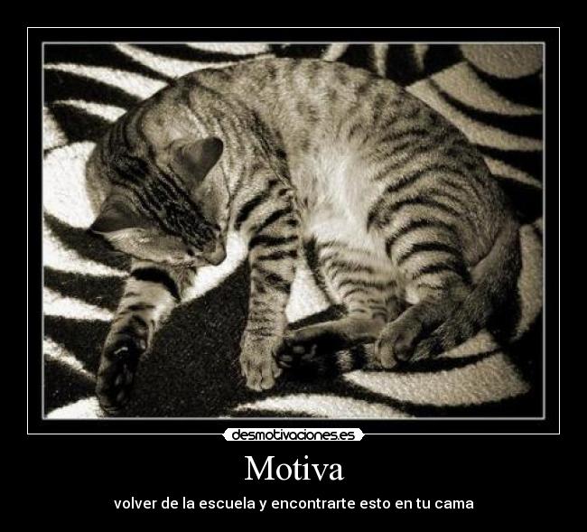 Motiva - 