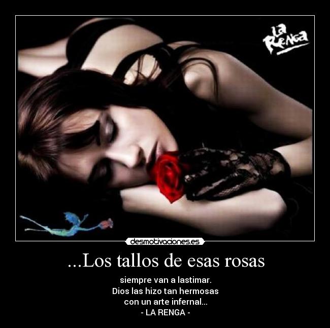 ...Los tallos de esas rosas - siempre van a lastimar.
Dios las hizo tan hermosas
con un arte infernal...
- LA RENGA -