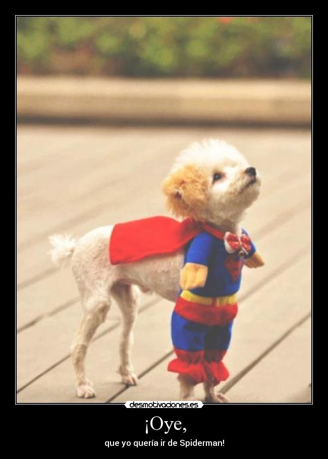 ¡Oye, - que yo quería ir de Spiderman!