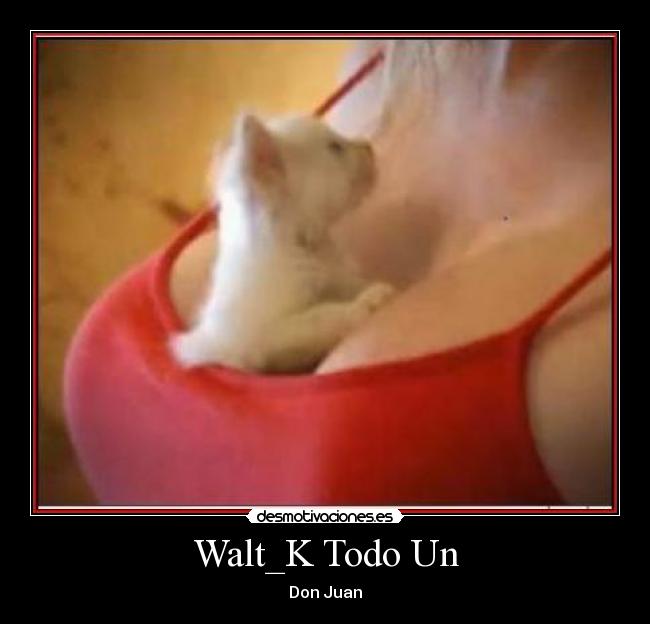 Walt_K Todo Un - Don Juan