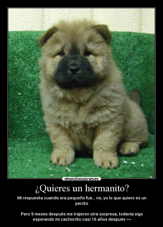 ¿Quieres un hermanito? -