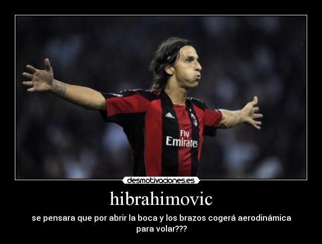 hibrahimovic -