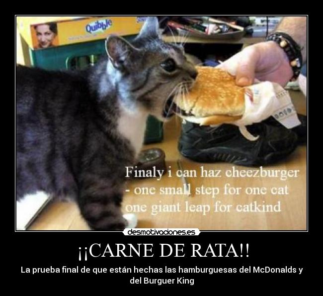 ¡¡CARNE DE RATA!! - La prueba final de que están hechas las hamburguesas del McDonalds y
del Burguer King