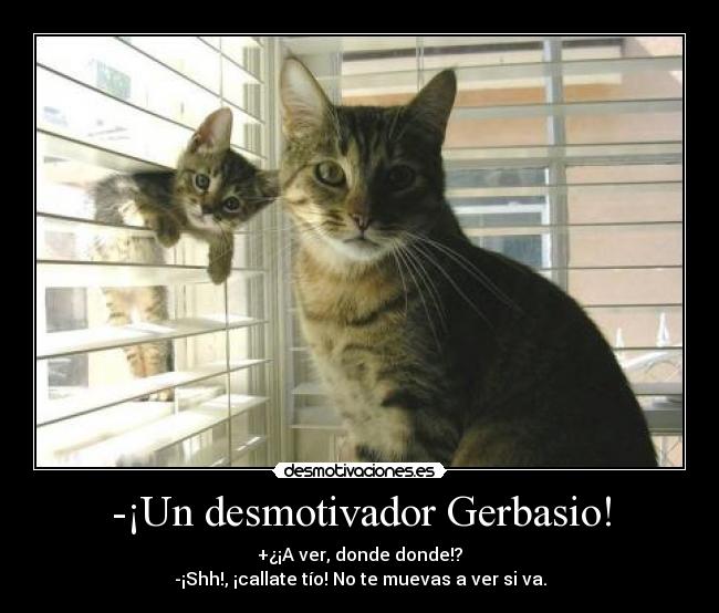 -¡Un desmotivador Gerbasio! - +¿¡A ver, donde donde!?
-¡Shh!, ¡callate tío! No te muevas a ver si va.