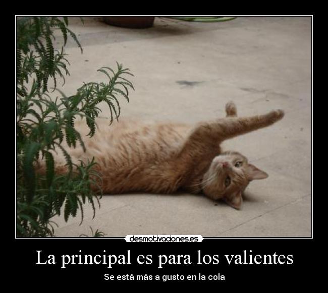 La principal es para los valientes - Se está más a gusto en la cola