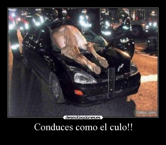 Conduces como el culo!! -