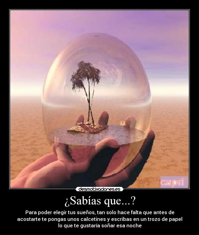 ¿Sabías que...? - Para poder elegir tus sueños, tan solo hace falta que antes de
acostarte te pongas unos calcetines y escribas en un trozo de papel
lo que te gustaría soñar esa noche
