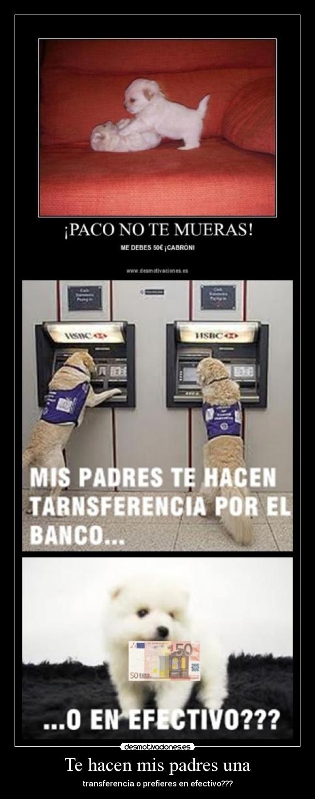 Te hacen mis padres una - transferencia o prefieres en efectivo???