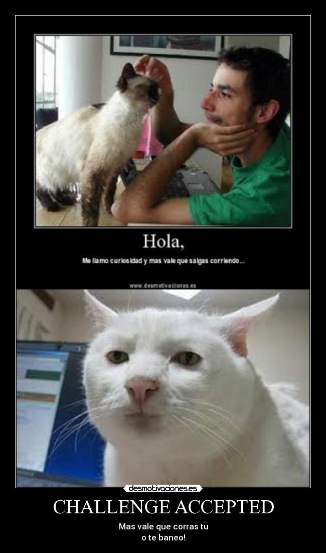 CHALLENGE ACCEPTED - Mas vale que corras tu
o te baneo!