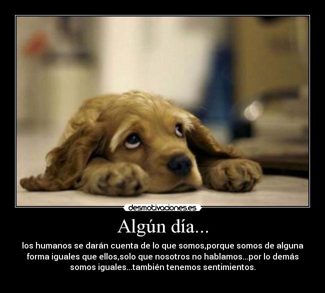 Algún día... - 