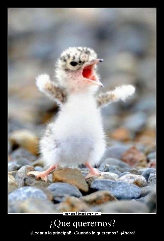 ¿Que queremos? - -¡Legar a la principal! -¿Cuando lo queremos? -¡Ahora!