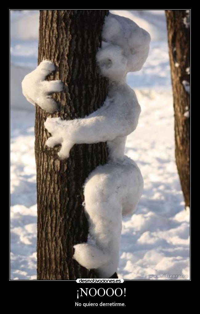 carteles oso hielo desmotivaciones