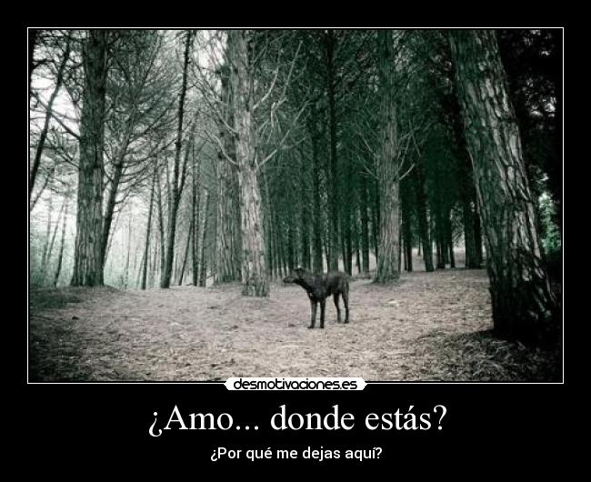 carteles perro amo desgraciado cabron perdido negro abandonado desmotivaciones