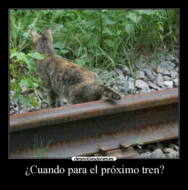 ¿Cuando para el próximo tren? - 