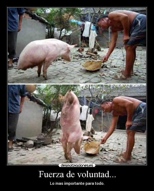 Fuerza de voluntad... -