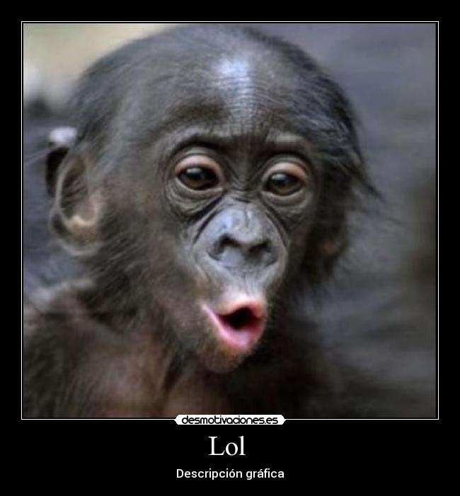 Lol - Descripción gráfica