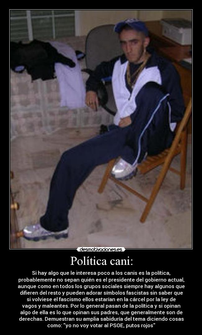 Política cani: - Si hay algo que le interesa poco a los canis es la política,
probablemente no sepan quién es el presidente del gobierno actual,
aunque como en todos los grupos sociales siempre hay algunos que
difieren del resto y pueden adorar símbolos fascistas sin saber que
si volviese el fascismo ellos estarían en la cárcel por la ley de
vagos y maleantes. Por lo general pasan de la política y si opinan
algo de ella es lo que opinan sus padres, que generalmente son de
derechas. Demuestran su amplia sabiduría del tema diciendo cosas
como: yo no voy votar al PSOE, putos rojos