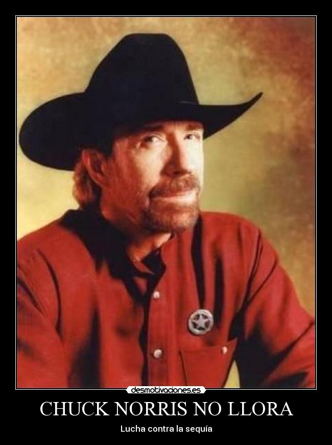 carteles chuck norris desmotivaciones