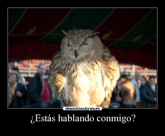 ¿Estás hablando conmigo? - 