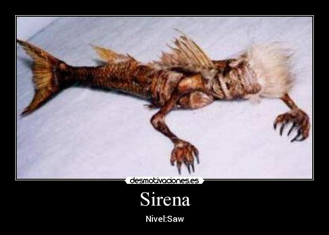 Sirena - Nivel:Saw