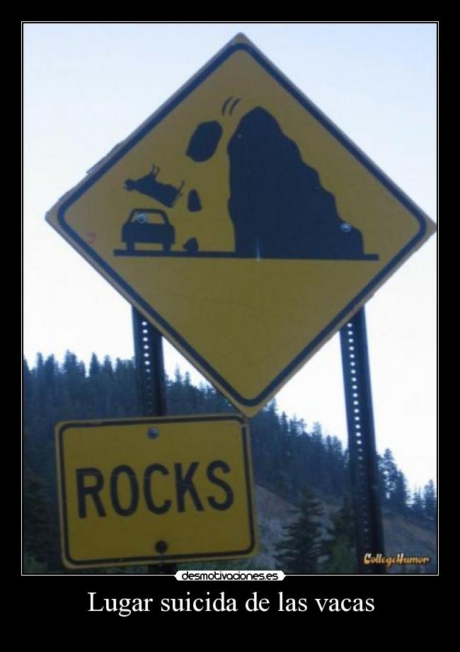 Lugar suicida de las vacas -