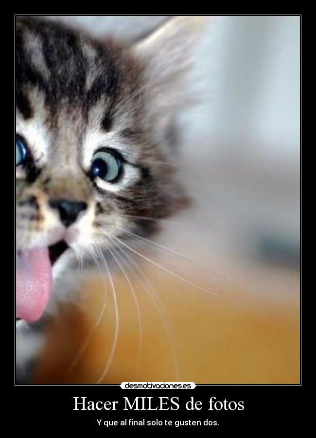 Hacer MILES de fotos -