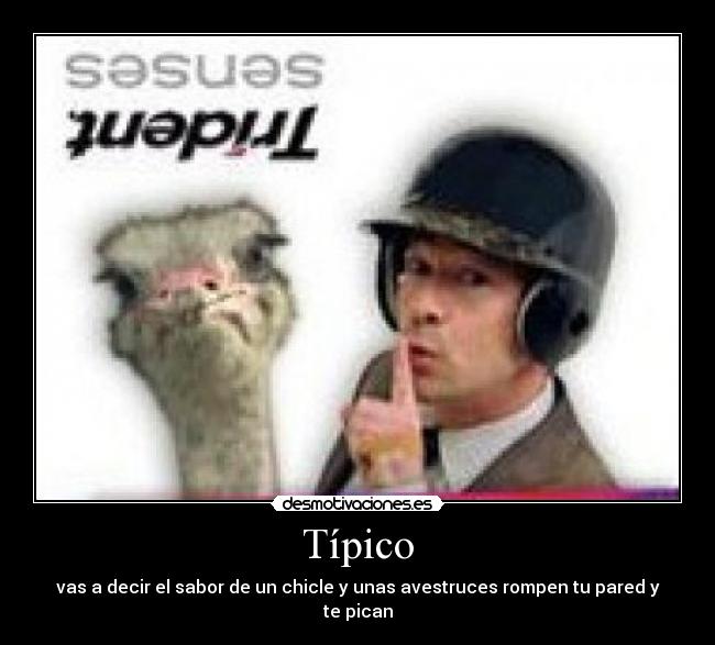 Típico -