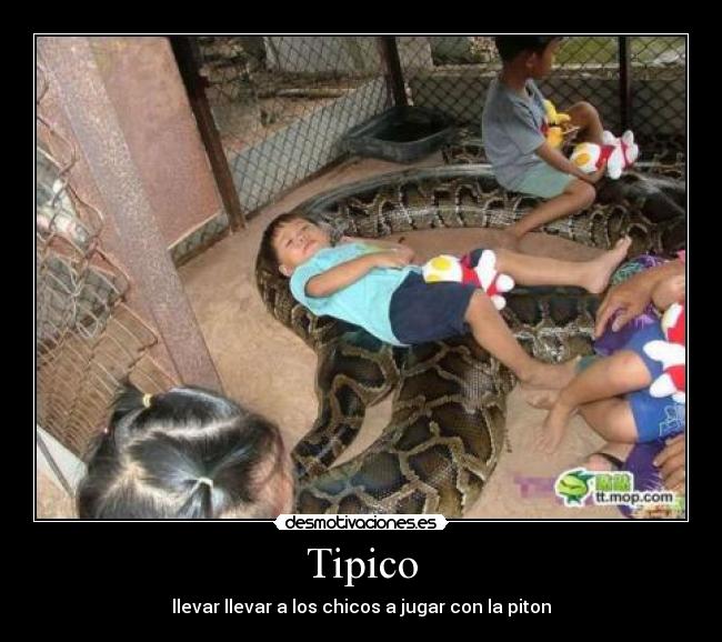 Tipico - llevar llevar a los chicos a jugar con la piton