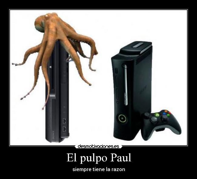 El pulpo Paul - siempre tiene la razon