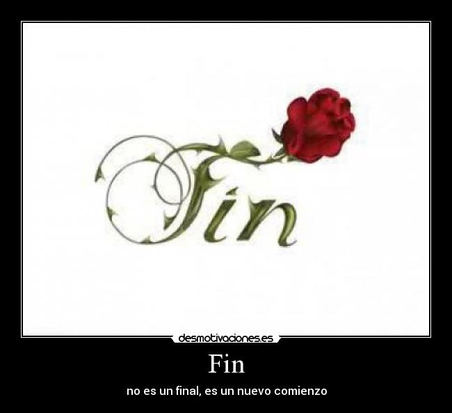 Fin - 