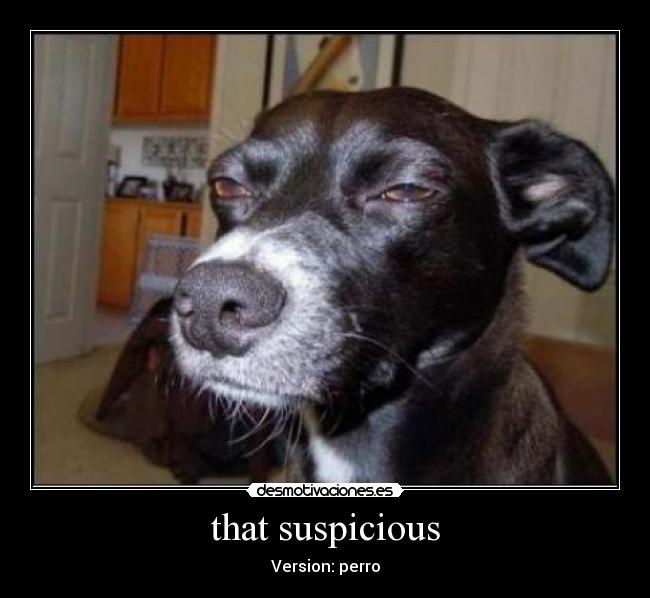 that suspicious -