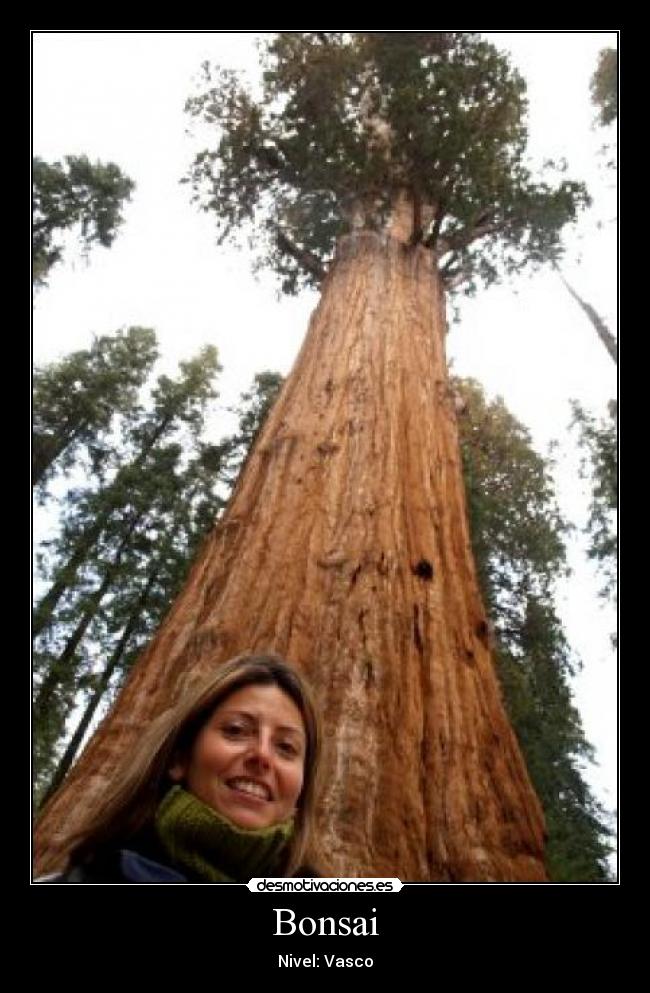 Bonsai - Nivel: Vasco