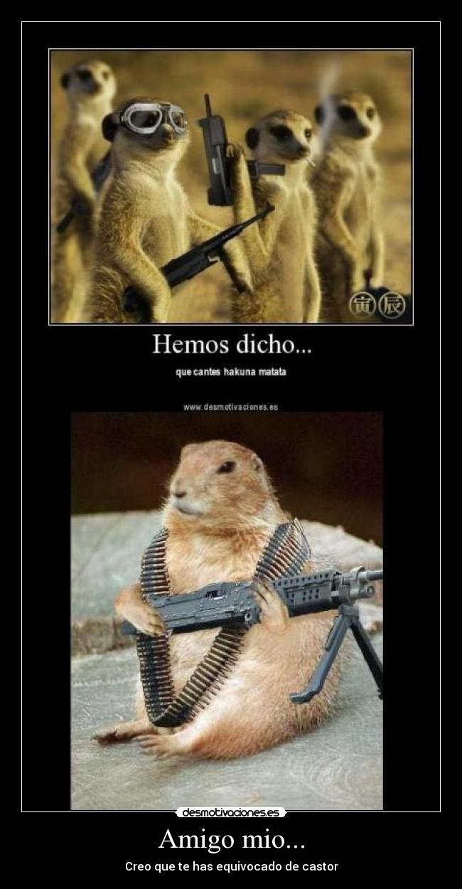 Amigo mio... -