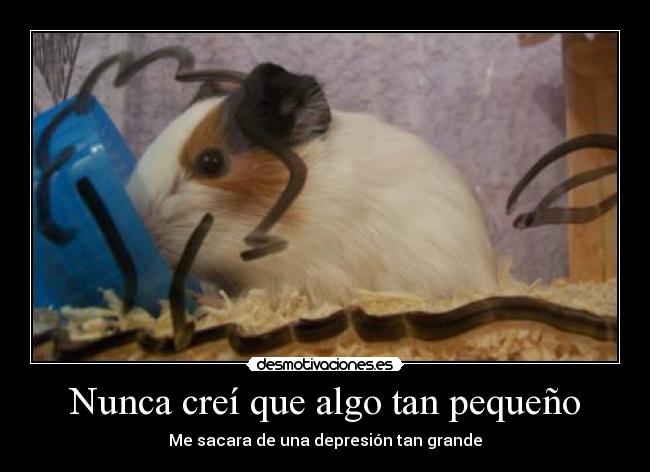 carteles cuyo depresion alegria desmotivaciones